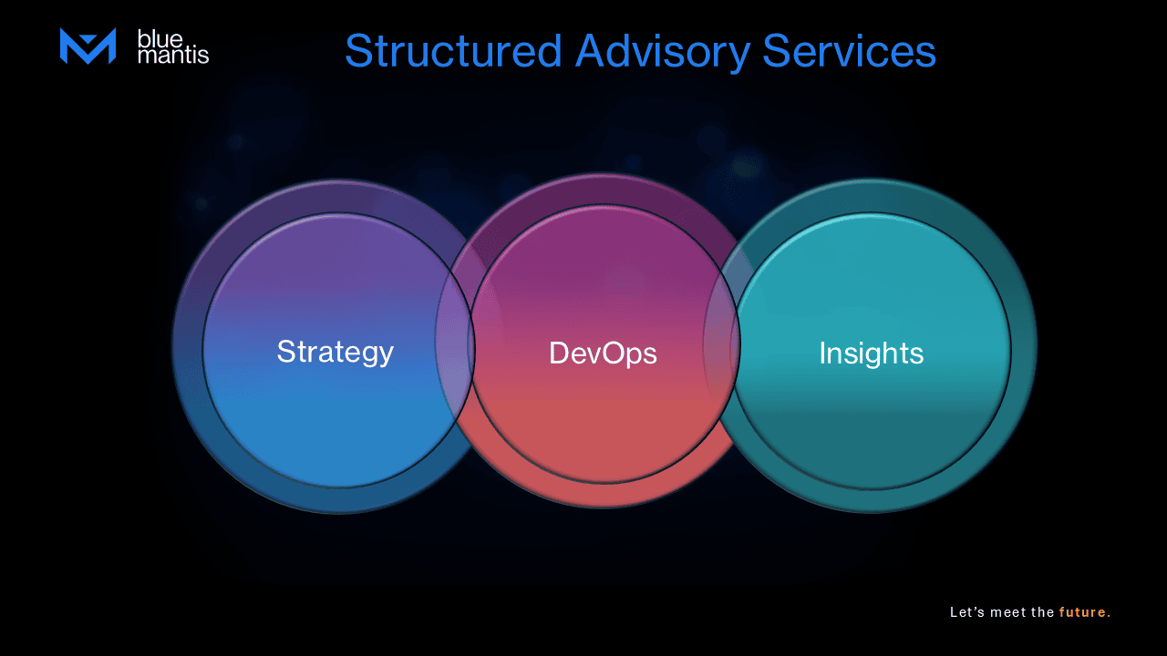 Blue Mantis Structured Advisory Services diagram